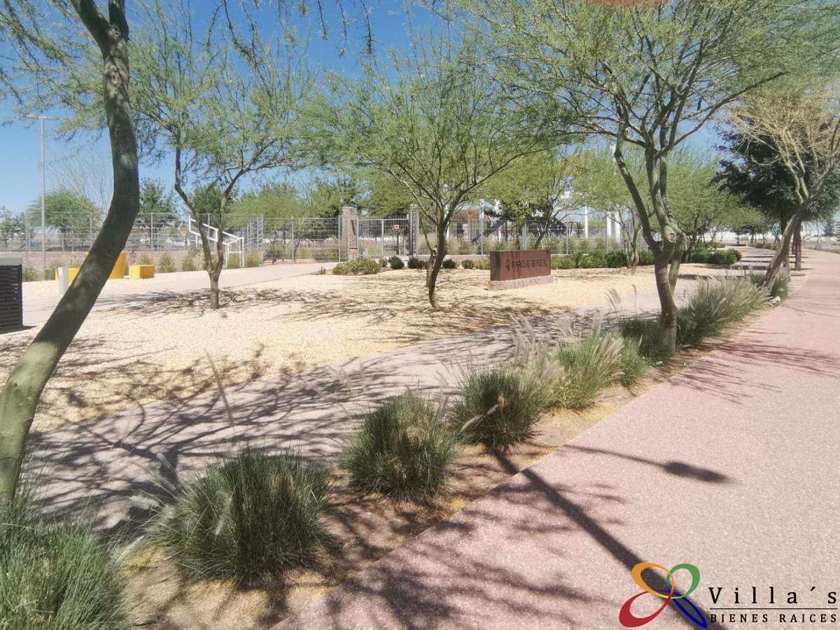 Parque Boreal.jpeg